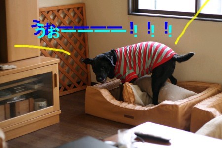 のたうちまわる