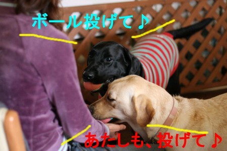 ボール投げ