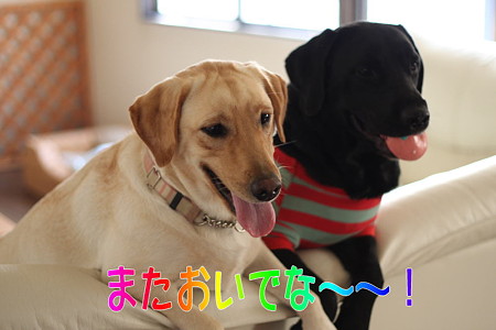 またおいでな~