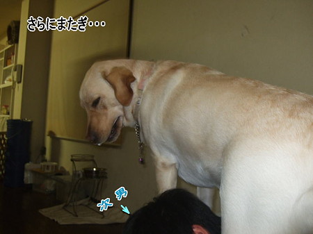 またぐ