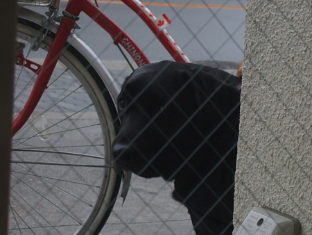 すぐやからね