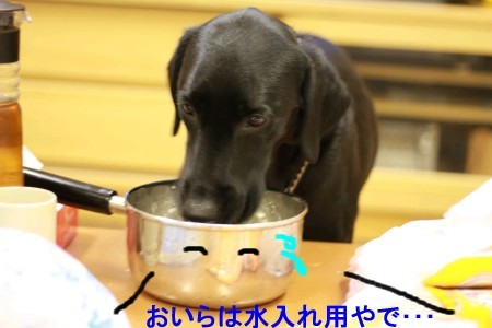水割り用の水を飲むクズル^^