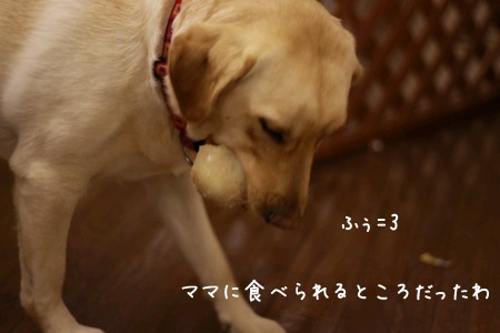 食べるられる?