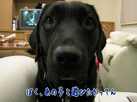 遊びたかった