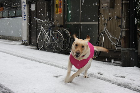 興奮状態!