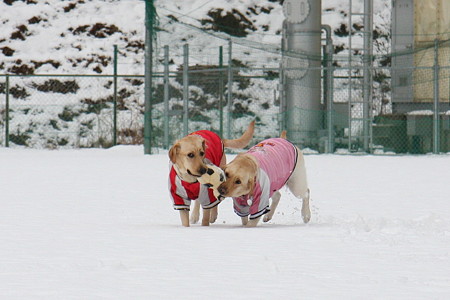 2人で運ぶ2