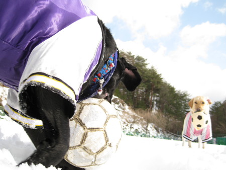 太陽と雪とサッカー