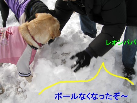 ボール埋められた~