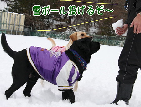 雪ボール