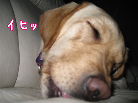 イヒッ