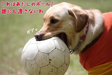 大口