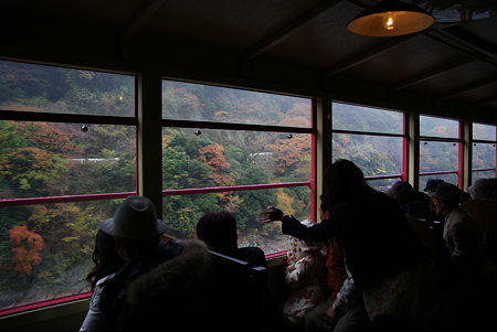 嵯峨野トロッコ列車の車窓01