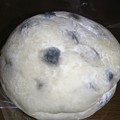 Photos: 豆あんぱん