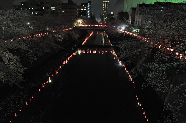 春宵の夢