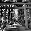 Photos: 箱根神社は避暑地に非ず…