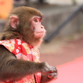 Photos: なにしてんだかなあ－