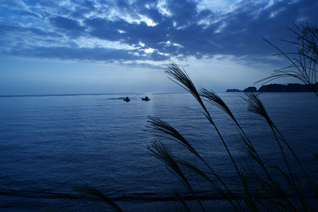 鎌倉の海とススキ1013s