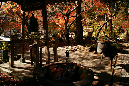 晩秋の鎌倉、覚園寺愛染堂前。(12/6)