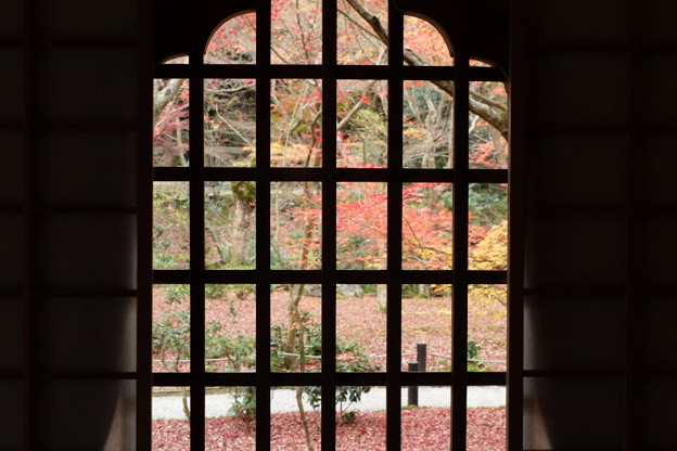 格子窓の紅葉風景2015