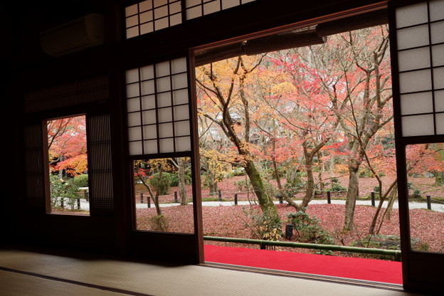 紅葉風景2015
