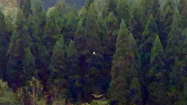 P1320017b