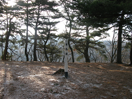 平賀城 - 09