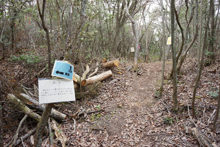 這田村法界寺山ノ上付城 - 03