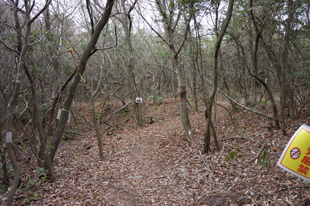 這田村法界寺山ノ上付城 - 07