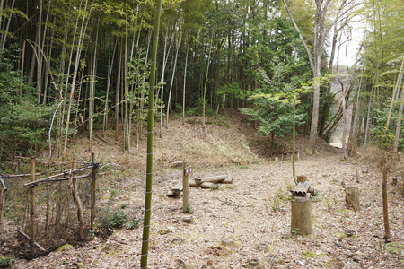 淀山城 - 04