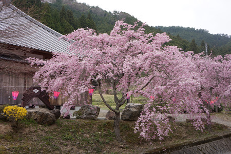 高蔵寺 - 07