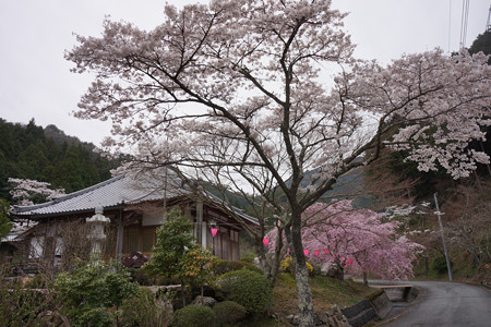 高蔵寺 - 12