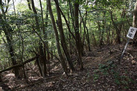 山家城〔甲ヶ峯城・左衛門屋敷〕 - 05