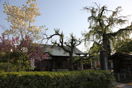 建福寺 - 3
