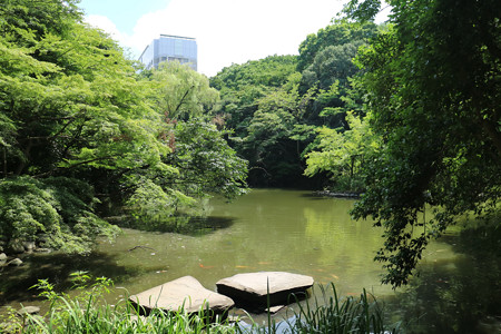 東京大学・三四郎池（育徳園） - 07