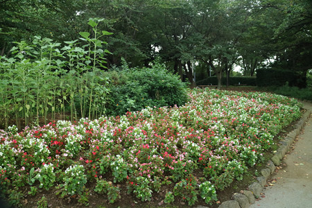 飛鳥山公園 - 01