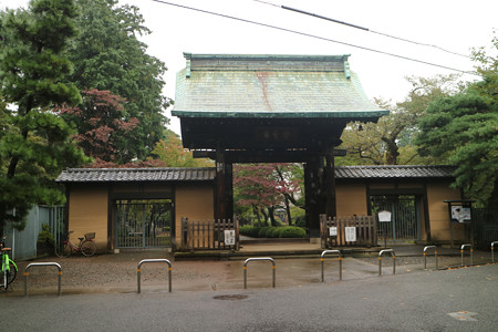 豪徳寺 (1)