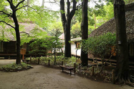 蘆花恒春園 (10)