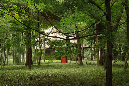 蘆花恒春園 (15)