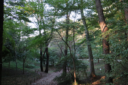 高幡城 (3)
