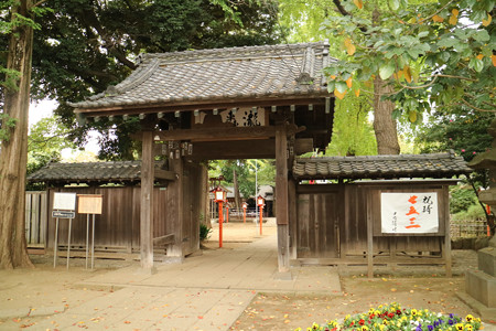等々力不動尊 (4)