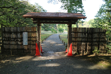 六義園 (3)