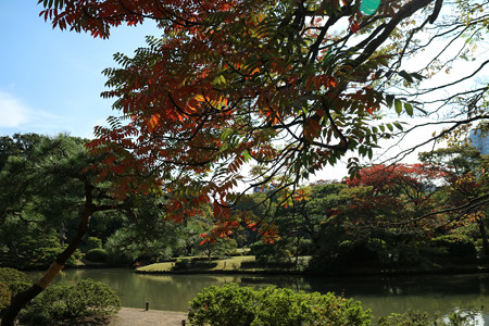 六義園 (9)
