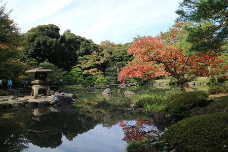 旧古河庭園 (15)