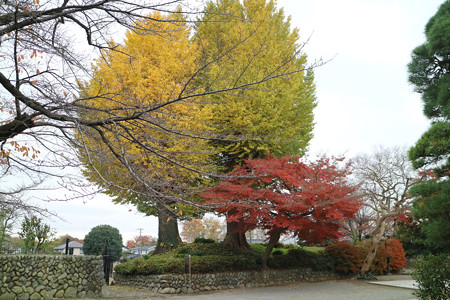 普済寺・立川氏館 (3)