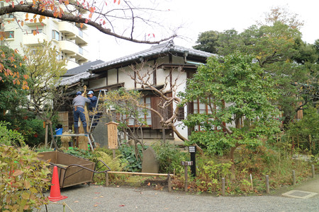 向島百花園 (5)