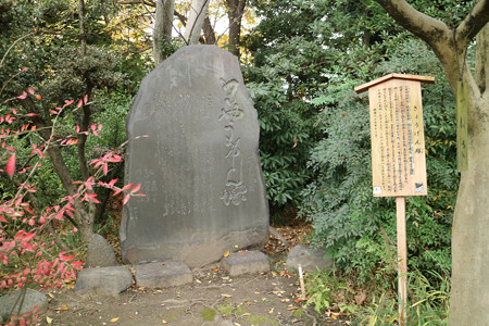 向島百花園 (8)