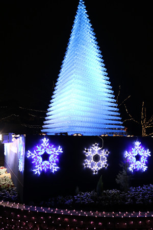 国営昭和記念公園　Winter　Vista　Illumination4