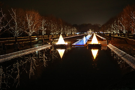 国営昭和記念公園　Winter　Vista　Illumination5