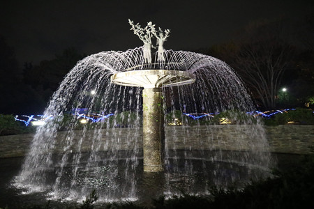 国営昭和記念公園　Winter　Vista　Illumination8