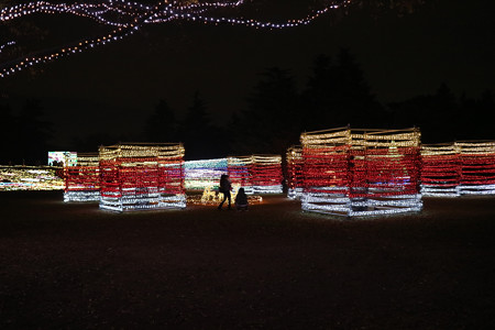 国営昭和記念公園　Winter　Vista　Illumination10